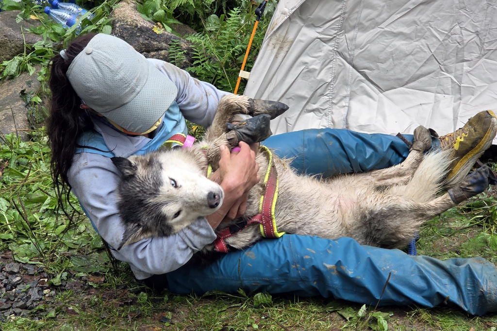 24-часовая догтреккинг гонка Асыр Раунд Трип