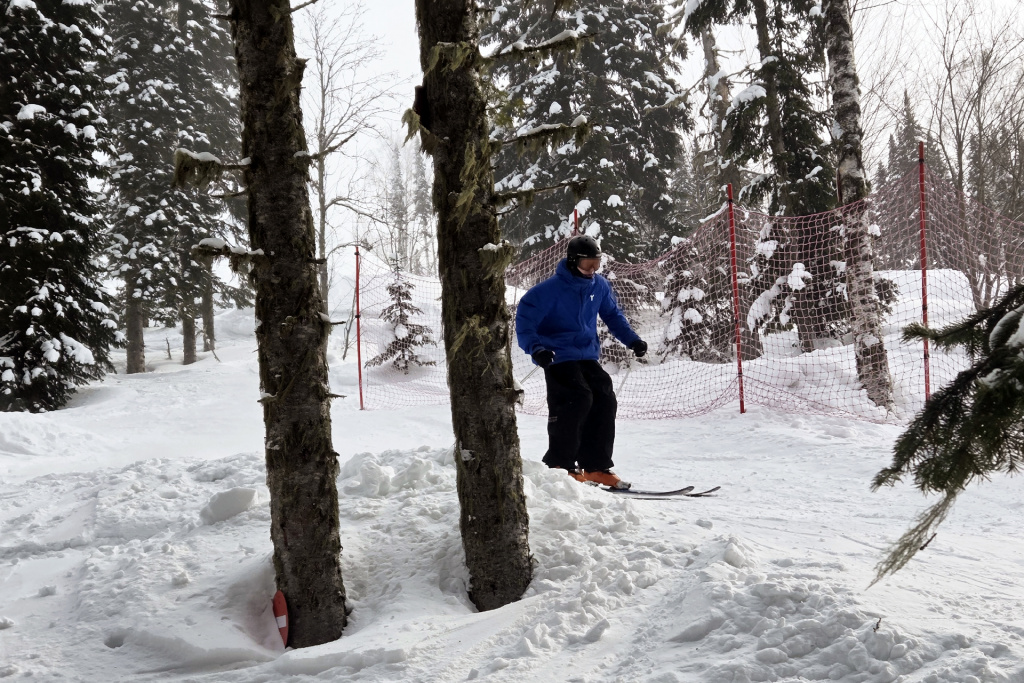 Участник Dragonfly Forest лыжи